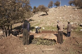 دهستان احمدفداله از توابع شهرستان دزفول