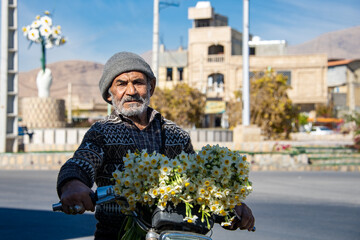 نرگس زار خفردر استان فارس