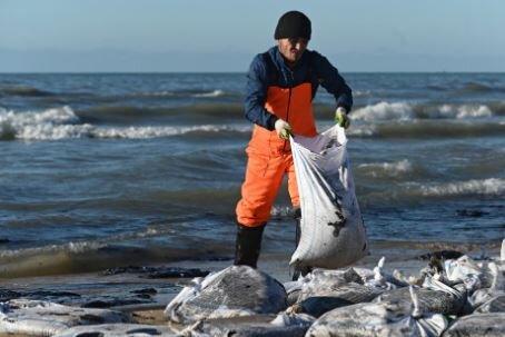 عکس: رویترز برخورد نفتکشها و فاجعه زیستمحیطی در دریای سیاه؛ عملیات پاکسازی ادامه دارد