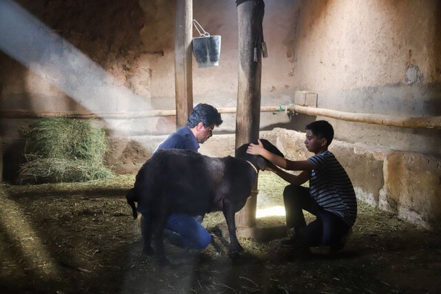 مروری بر همه خبرهای سینما و تئاتر