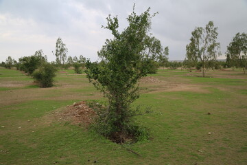 بروجرد به سمت شهر سلامت محور حرکت می‌کند