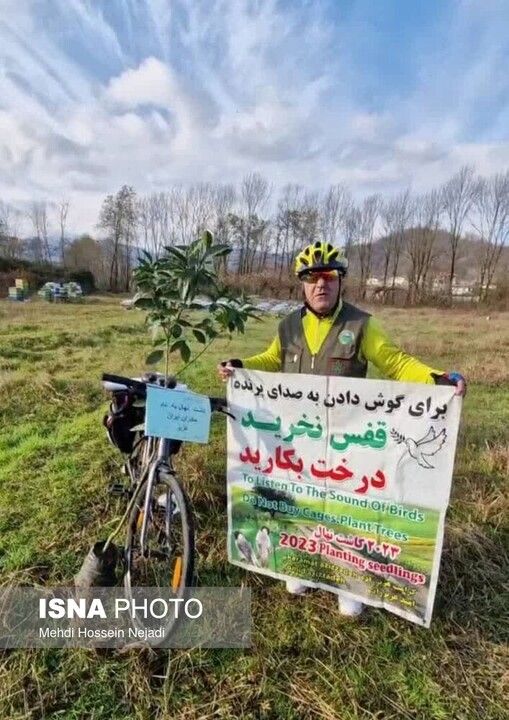 مراقبت از درختان برای گوش دادن به صدای پرندگان