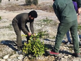 اجرای حکم قلع و قمع در ۴۶۳۱ متر مربع از اراضی ملی شهرستان گچساران