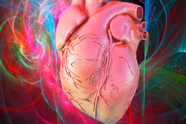 قلب ما مغز مخصوص به خود را دارد قلب ما مغز مخصوص به خود را دارد