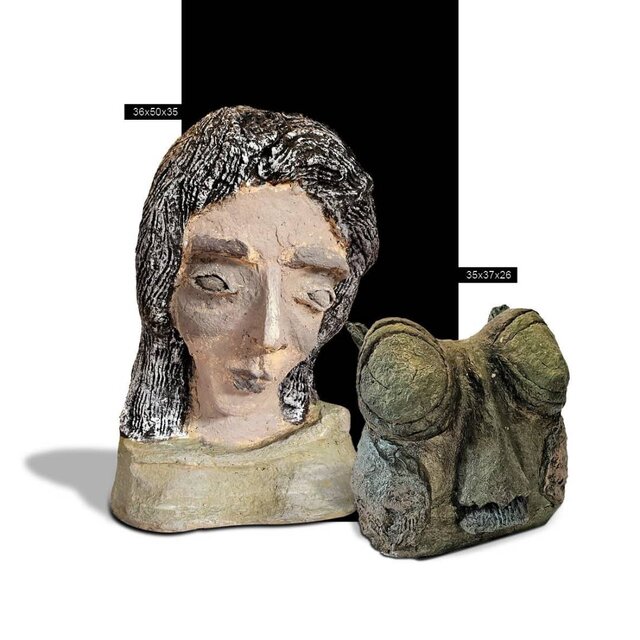 اینجا پرندهها همه کار میکنند غیر از پرواز!