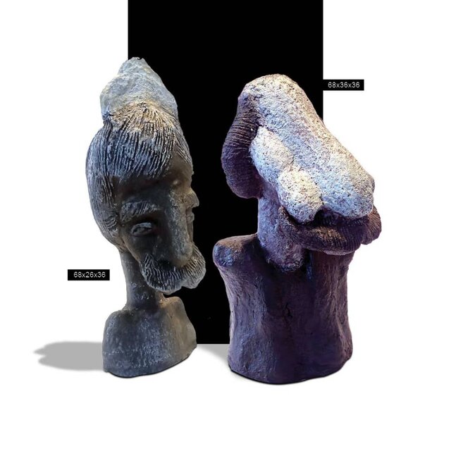 اینجا پرندهها همه کار میکنند غیر از پرواز!