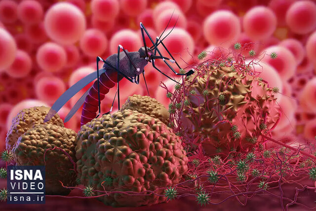 ویدیو/ پشه مالاریا، توزیعکننده واکسن مالاریا ویدیو/ پشه مالاریا، توزیعکننده واکسن مالاریا