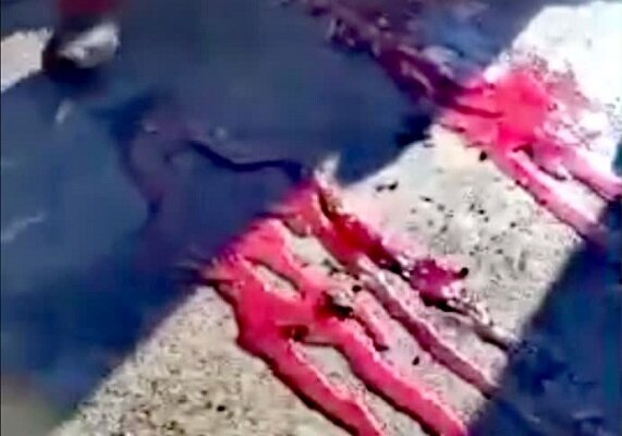 تصویری از محل انفجار اول روایتی از حمله تروریستی مسیر گلزار شهدای کرمان