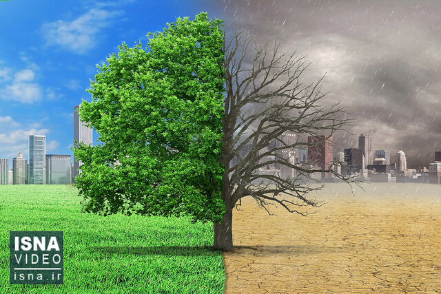 فضای سبز و انتخاب گیاهانمان باید متناسب با اقلیم ۲۰۵۰ باشد / گیاهان بومی در حال نابودی‌اند