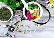 تدوین سند حکمرانی ملی طب ایرانی وارد مرحله تشکیل کمیته‌های تخصصی شد