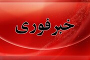 هلاکت یک تروریست در پی واکنش مقتدرانه پلیس در شهرستان گلشن