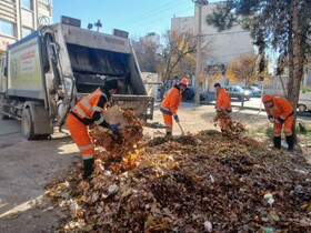 پیش‌بینی جمع‌آوری ۱۰۰۰ تُن برگ جمع‌آوری‌شده در شیراز