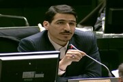 شریعتی عضو هیات نظارت بر رفتار نمایندگان شد