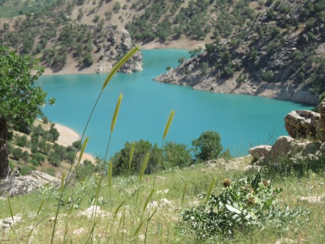 خشک شدن تالاب«شِرُنگ دِرُنگ» زیلایی کهگیلویه و بویراحمد