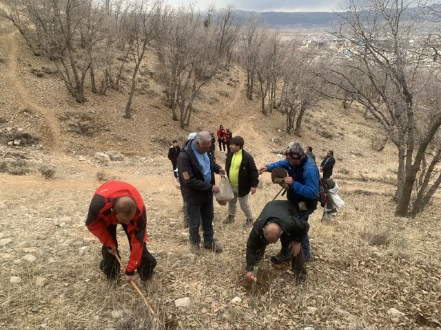 کوهنوردان یاسوجی ۲۰ هکتار درخت کاشتند کوهنوردان یاسوجی ۲۰ هکتار درخت کاشتند