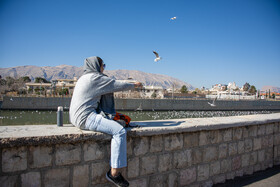 کاکایی ها مهمان زمستانی شیراز