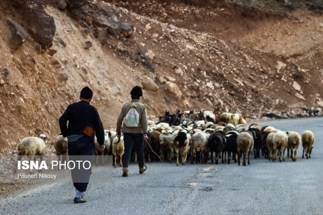 چالش‌های توسعه جاده‌ای در قلب البرز، تهدیدی برای اکوسیستم کوهستانی