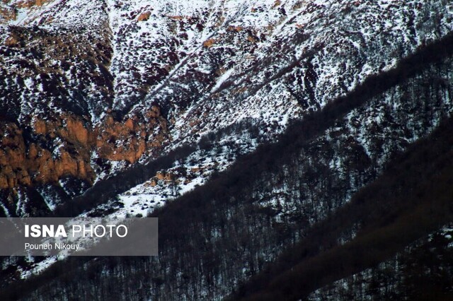 چالشهای توسعه جادهای در قلب البرز، تهدیدی برای اکوسیستم کوهستانی