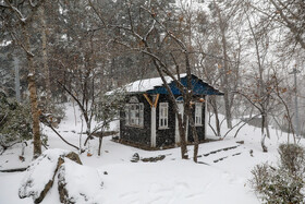 بارش برف در بوستان جمشیدیه تهران