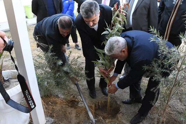 استفاده از نهال های ایرانی به عنوان ابزار دیپلماسی عمومی و زیست محیطی ایران در عراق استفاده از نهالهای ایرانی به عنوان ابزار دیپلماسی عمومی و زیست محیطی ایران در عراق