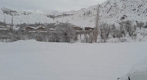 ثبت بارش ۳۶ سانتیمتری برف در دریجان بم/ لالهزار سردترین نقطه کشور شد