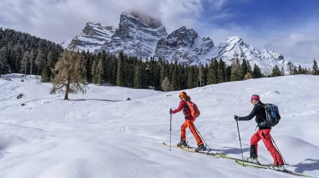 از دریاچهای به رنگ آدامس صورتی تا جزیره کدو زرد خالدار