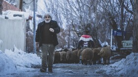 ساره بیات و مهدی هاشمی در «چشم بادومی»