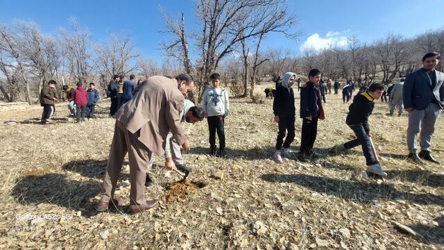 کاشت ۲۰۰۰ بذر بلوط و بادام به مناسبت هفته هوای پاک در بویراحمد کاشت ۲۰۰۰ بذر بلوط و بادام به مناسبت هفته هوای پاک در بویراحمد