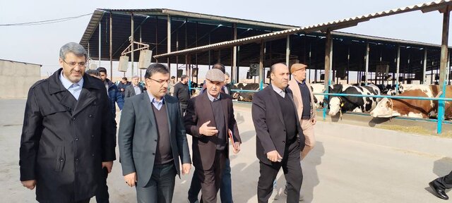 کمبود نهاده و نبود سموم ایمن، از چالشهای جدی گلخانهداران است