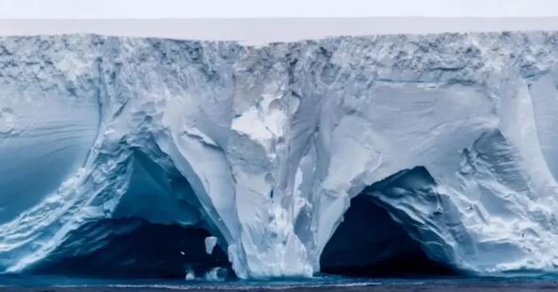 عکس: گتی ایمجز خطر برخورد بزرگترین کوه یخ جهان با جزیرهای که زیستگاه فُکها و پنگوئنهاست