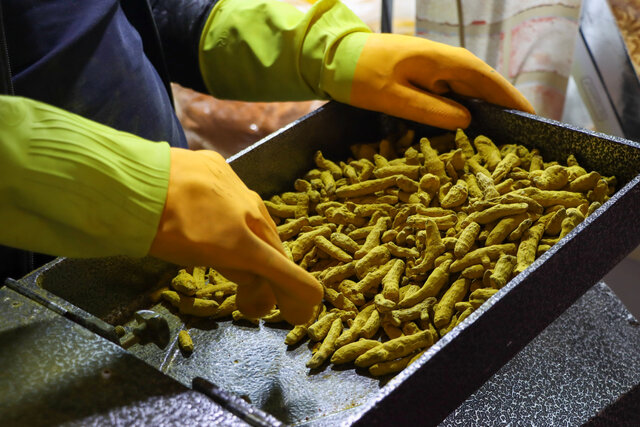 «راه تاریخی ادویه» بهانهای برای ایجاد یک کریدور گردشگری بین قارهها