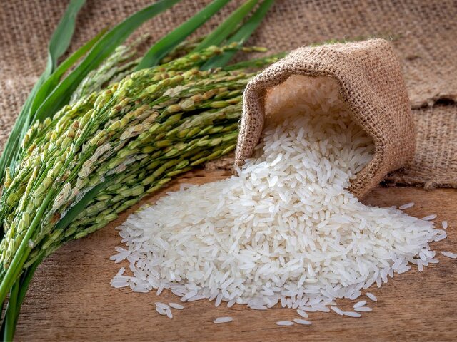 عرضه برنج با نرخ مصوب برای ایجاد ثبات در بازار عرضه برنج با نرخ مصوب برای ایجاد ثبات در بازار
