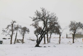 دوشنبه برفی شهر همدان