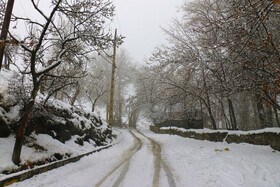 دوشنبه برفی شهر همدان