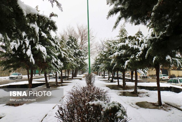 عکس تزئینی ست غیرحضوری شدن کلاسهای درس برخی مدارس در سه شهرستان استان سمنان