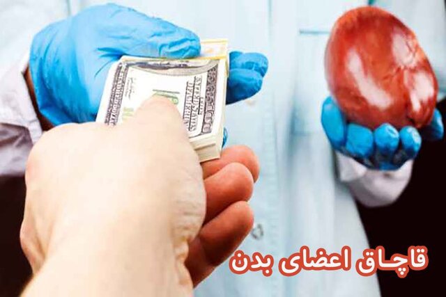 توضیحات حاجیدلیگانی درباره طرح مبارزه با قاچاق انسان و اعضای بدن توضیحات حاجیدلیگانی درباره طرح مبارزه با قاچاق انسان و اعضای بدن