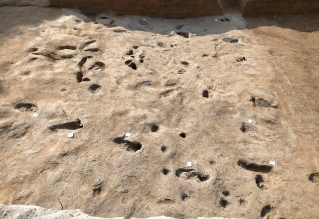 کشف ردپاهای «عصر برنز» کشف ردپاهای «عصر برنز»