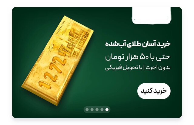 مراقب باشیم قصه سکههای ثامن تکرار نشود/ به کدام پلتفرم میتوان اعتماد کرد؟