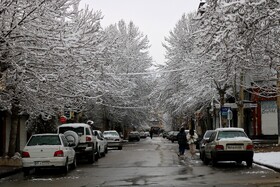 تداوم بارش برف در آذربایجان‌غربی