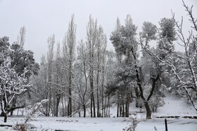 دما تا ۱۲ درجه در آذربایجان غربی کاهش می‌یابد