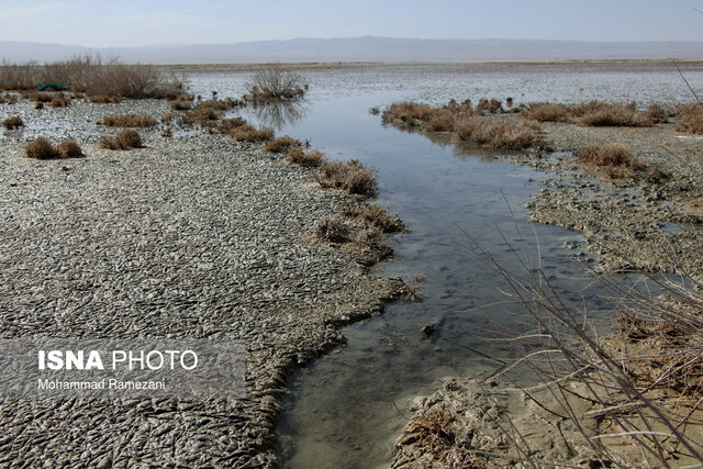 عکس تزیینی است احیای تالاب قدیمی خانمیرزا در دستور کار حفاظت محیط زیست چهارمحال و بختیاری