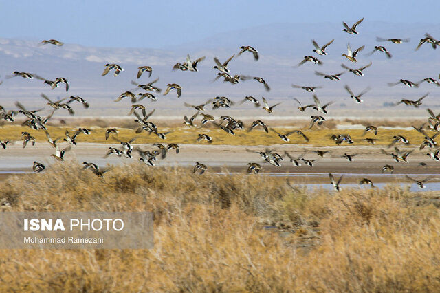 چالش و تهدیدات تالاب خراسان جنوبی چیست؟