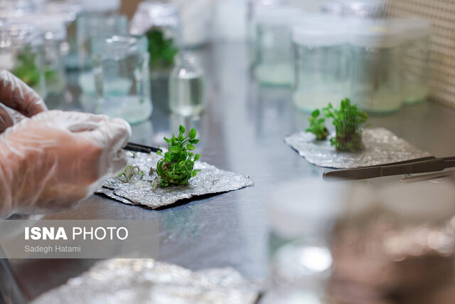 افزایش بهرهوری آب؛ مهمترین اولویت پژوهشی است