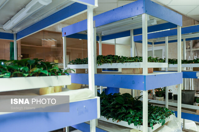 افزایش بهرهوری آب؛ مهمترین اولویت پژوهشی است