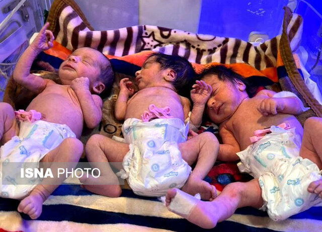 عکس تزئینی است افزایش ۱۲ درصدی خانوادههای دارای چندقلو تحت حمایت بهزیستی ابهر