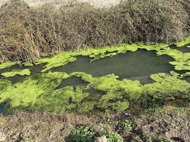 تحلیل مناطق مختلف منطقه آزاد انزلی از نظر آلودگی منابع آبی