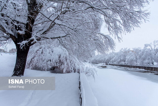 بارش ۵۰ سانتی‌متری برف در ابیانه 