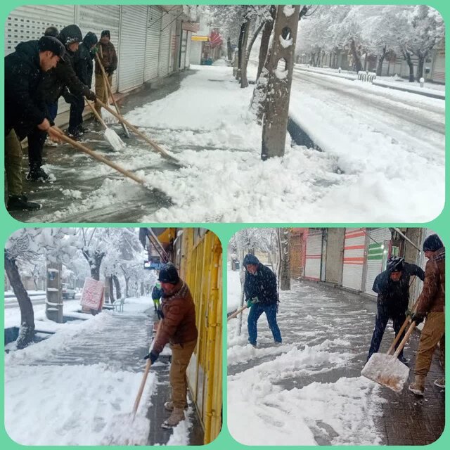 ملایری ها نسبت به برف تکانی درختان اقدام کنند