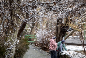 بارش برف در تهران