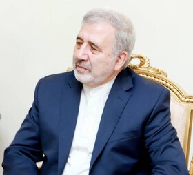 عنایتی: مشتاقانه منتظر گسترش روابط با عربستان هستیم